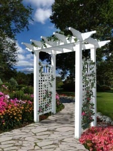 Backyard Arbor