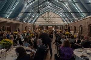 2014JazzBabywsww-19 (2)