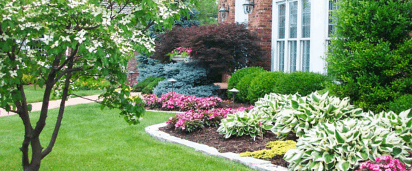 Summer Landscaping Rules to 
