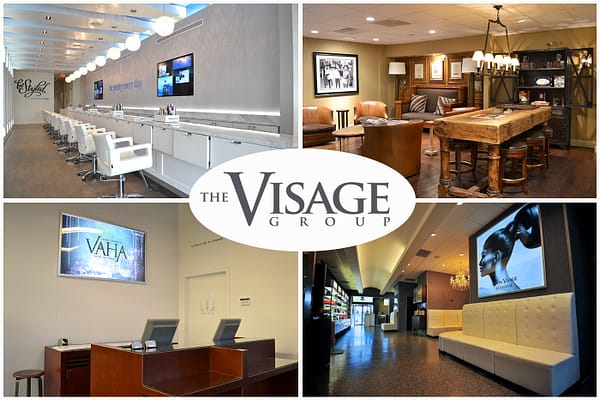 the visage group